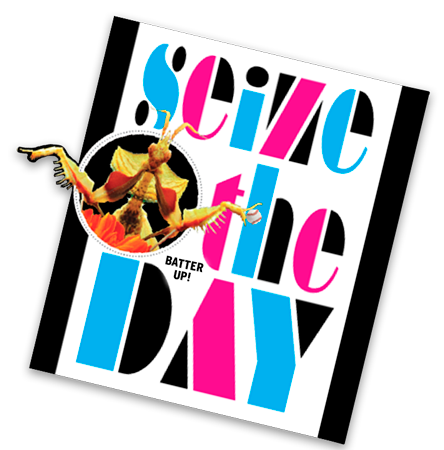 Graphic Design - seize the day